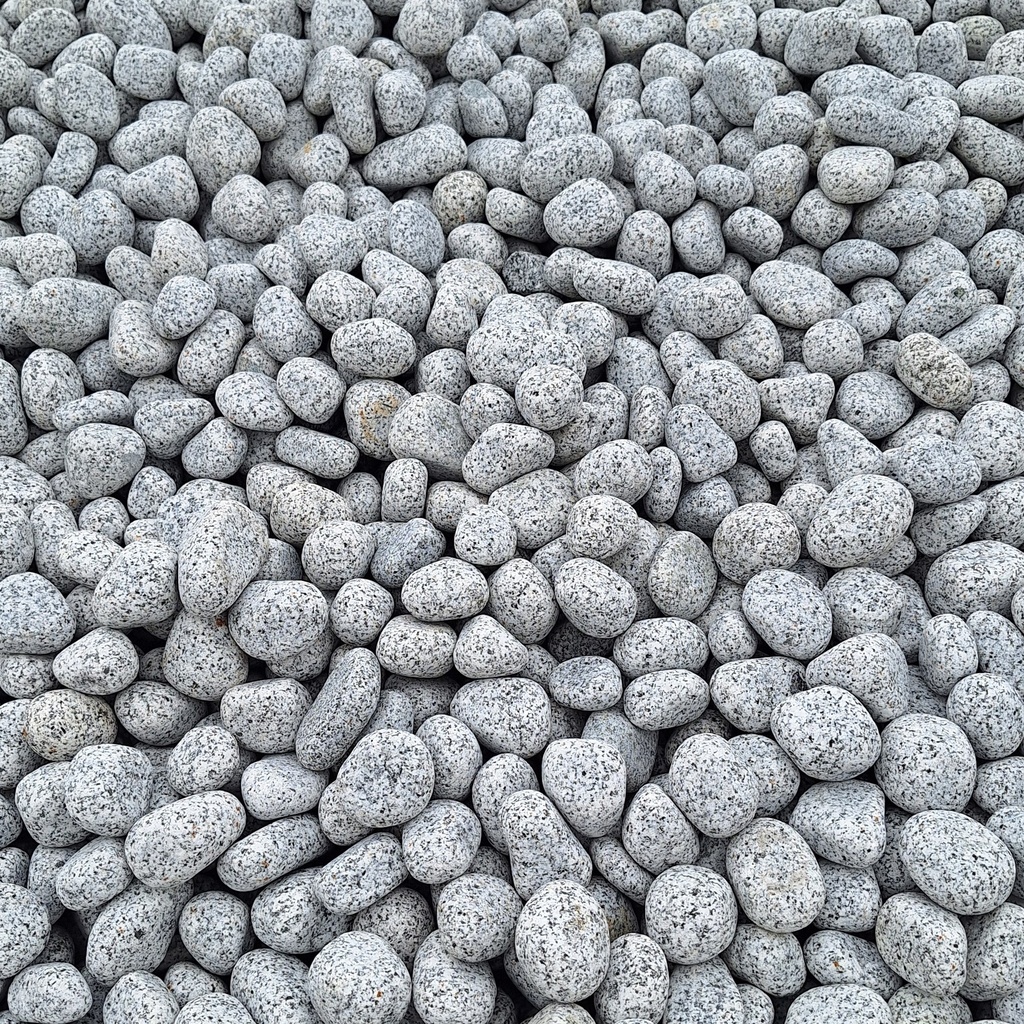 Pepper