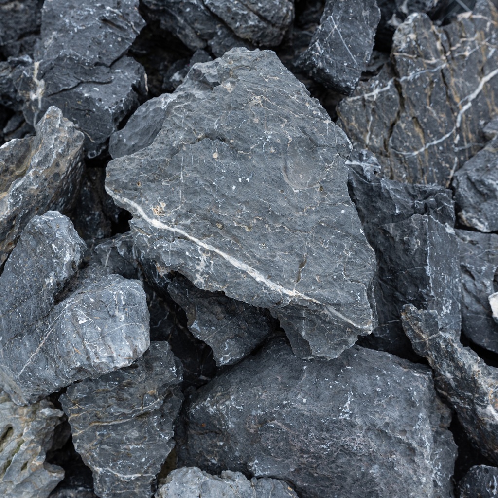 Atlantis Black (Seyriu) (10/50 cm)