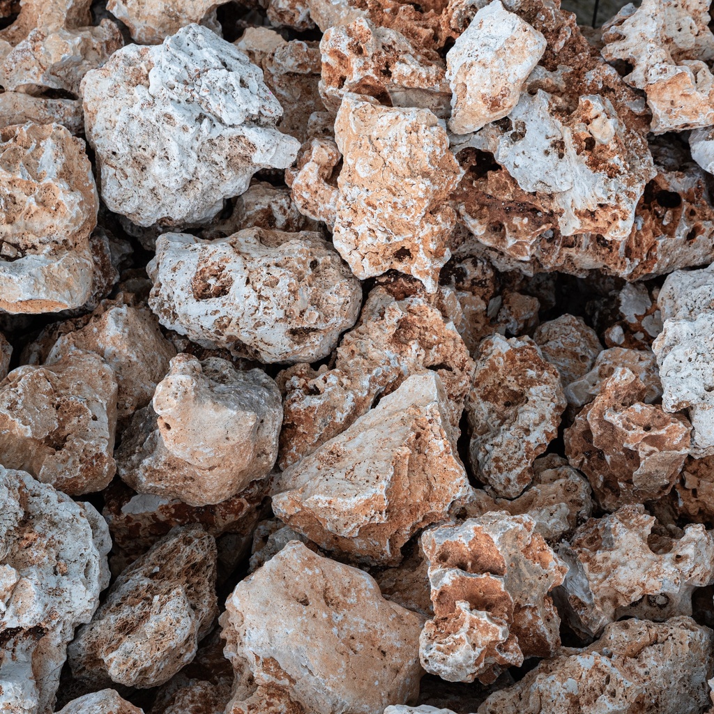 Nougat Rots (10/30 cm)