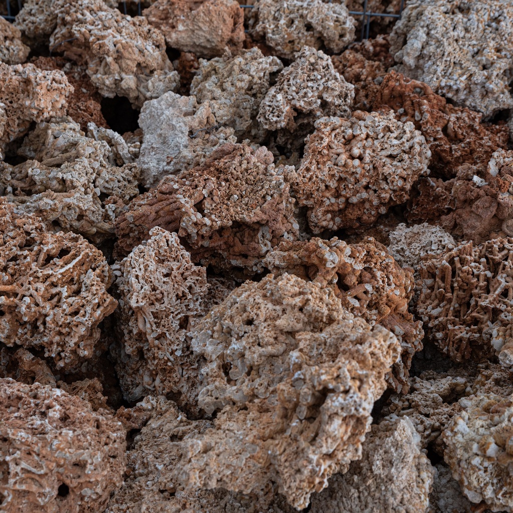 Spaghetti (100/300 mm)