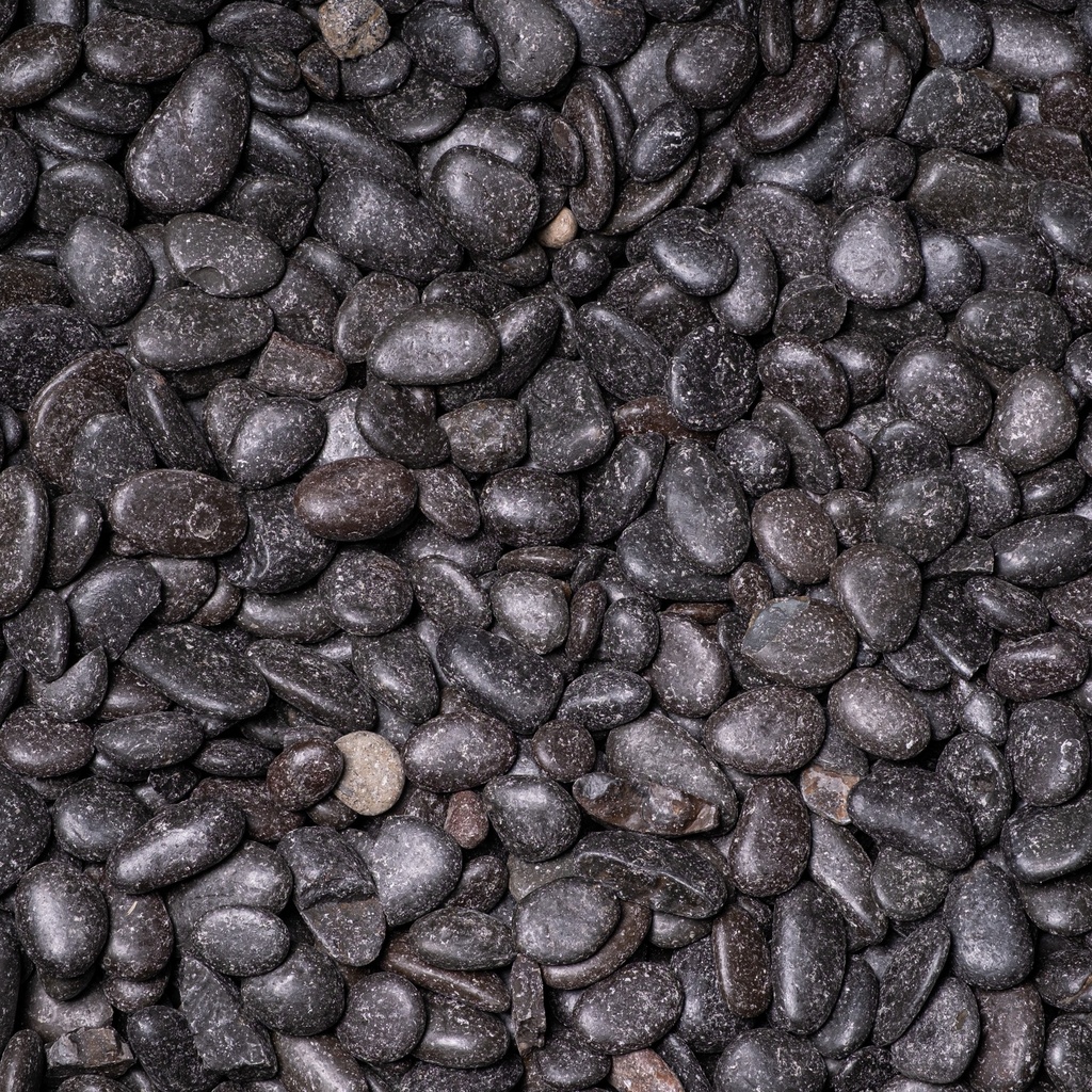 Black Pearl (poli) (1/3 cm)