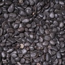 Black Pearl (10/30 mm)
