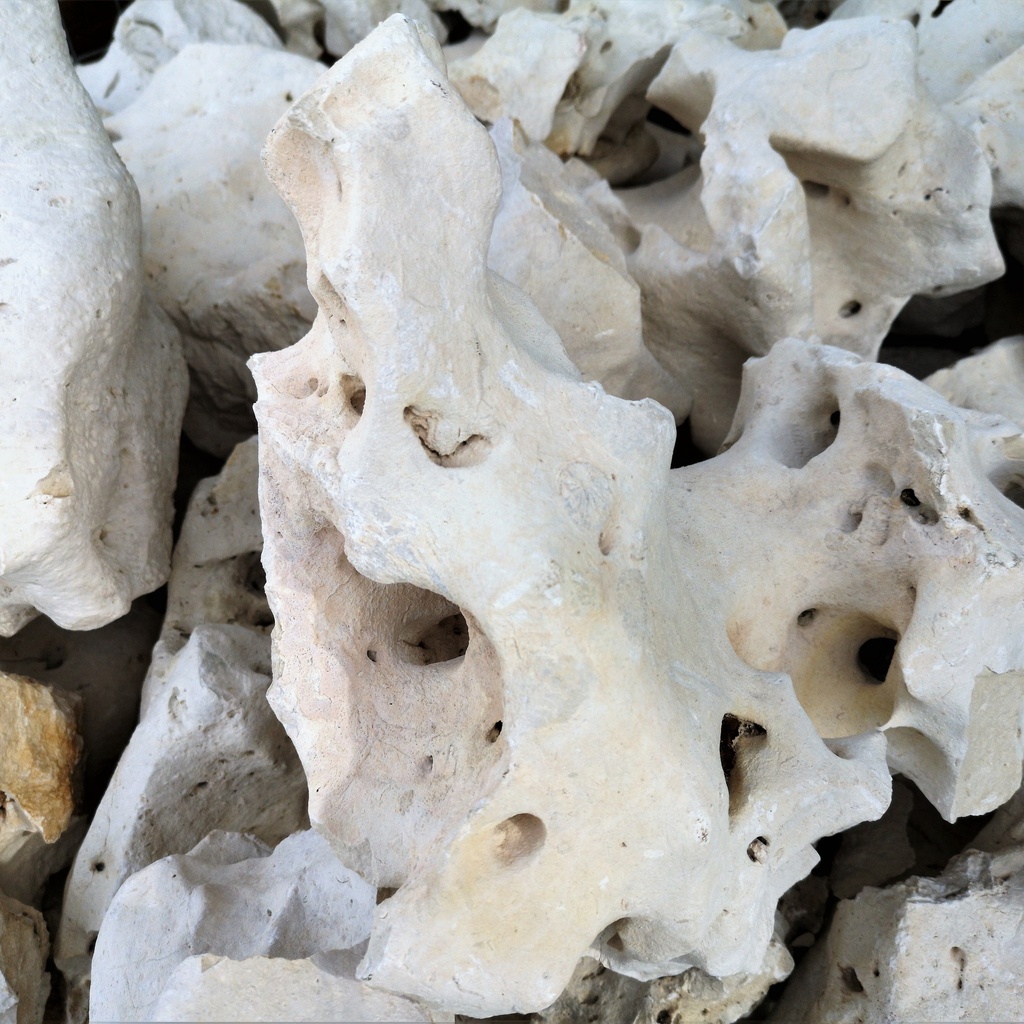 Moonlight (200/400mm)