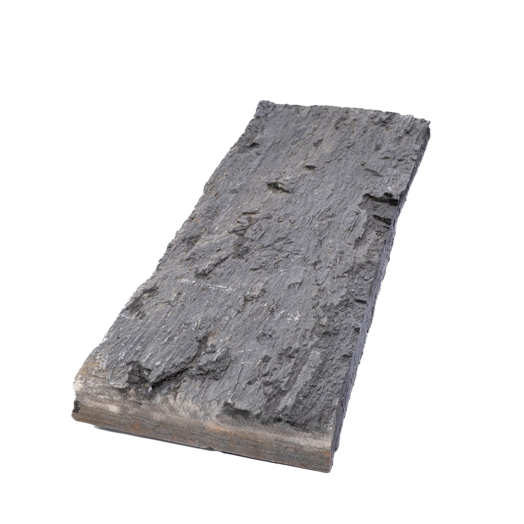 Plaque de Schiste