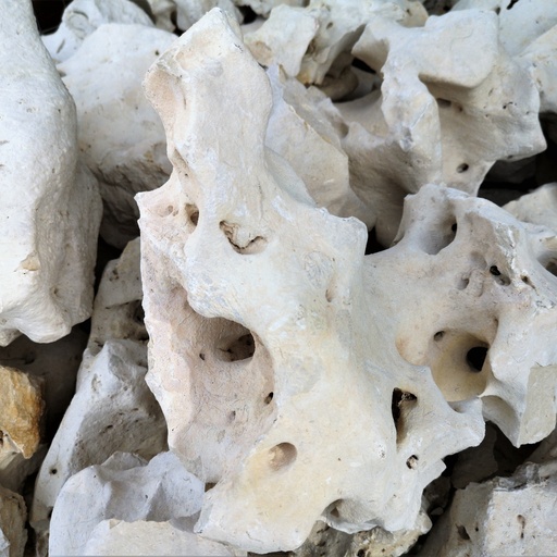 Moonlight (200/400mm)