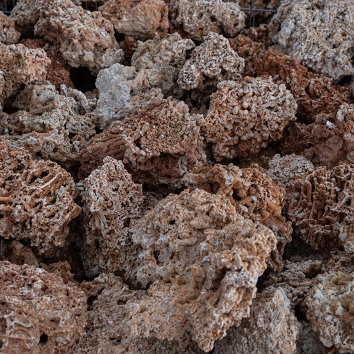 Spaghetti (10/30 cm)