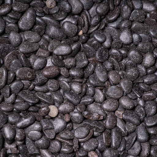 Black Pearl (gepolijst) (1/3 cm)