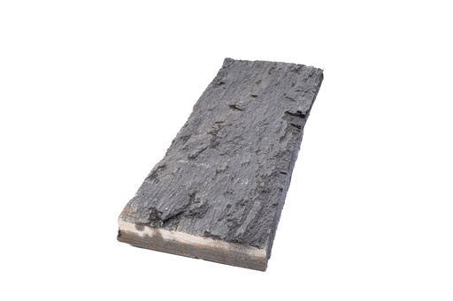 Plaque de Schiste