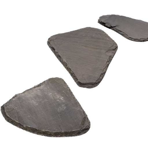 [30952] Step Asturia Traan