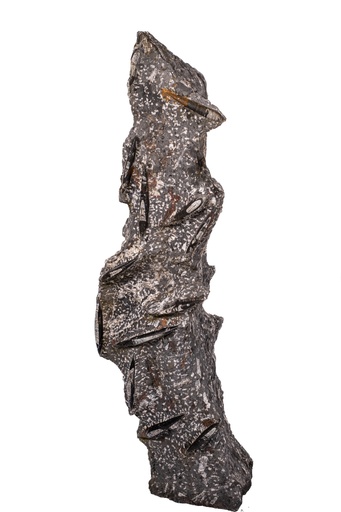 Doddery Line