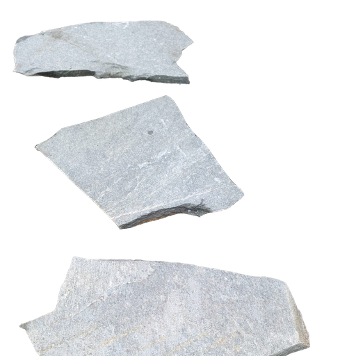 [41800] Step Livingstone (copie)